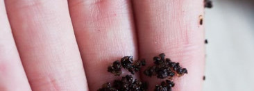 Скраб Riche Coffee Bean Scrub Mandarin