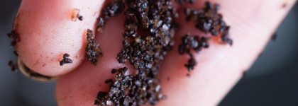 Скраб Riche Coffee Bean Scrub Mandarin