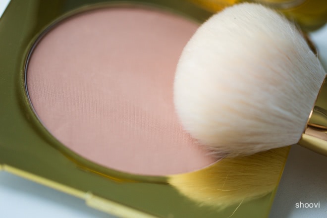 Бронзирующая пудра Tom Ford Bronzing Powder в оттенке #02 Terra