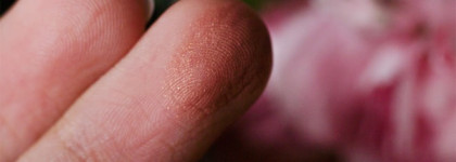 Chanel Fall 2015 Les Automnales. Joues Contraste Blush в оттенке 260 Jinsha (Alezane)