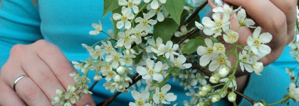 El Corazon Kaleidoscope Nail Polish "Кружева и пайетки" №01