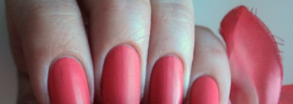 El Corazon Matte Effect Nail Polish №123