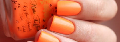 El Corazon Matte Effect Nail Polish №142-neon + стемпинг Lesly