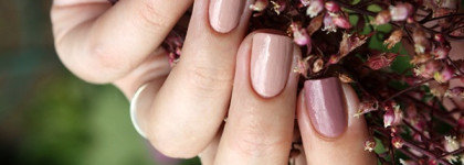 NailLOOK Passion of Shakespeare №31261 The Tempest и №31265 As you like it