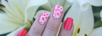 NailLOOK Coral Islands №31253 Madagascar