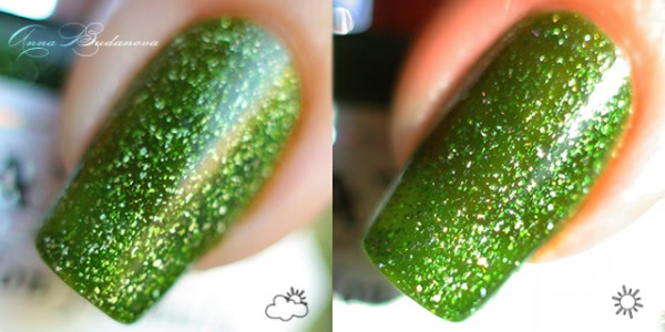 El Corazon Active Bio-gel Color gel polish №423/507 LH.