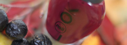 NailLook Complete Care №30322 Cheeky Blackberry