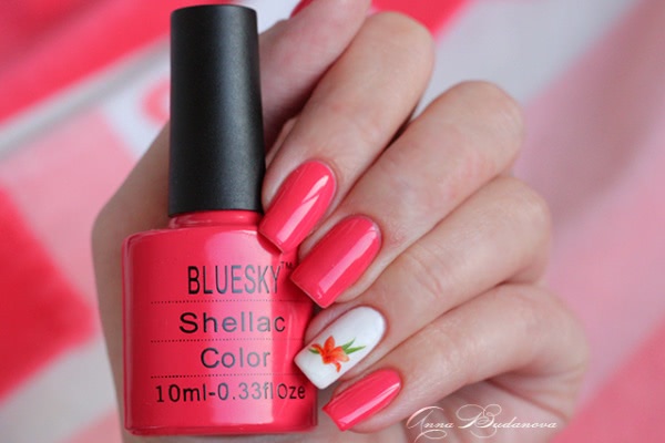 Bluesky Shellac Color 80505