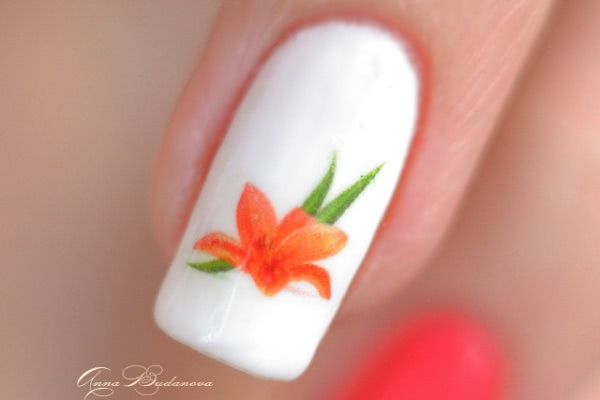 Bluesky Shellac Color 80505