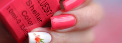 Bluesky Shellac Color 80505