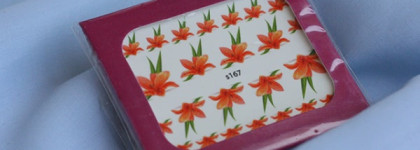 Bluesky Shellac Color 80505