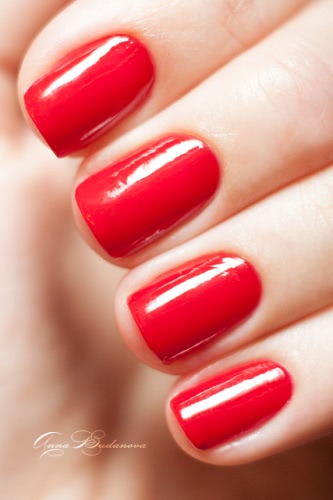 NailLook Complete Care №30319 Winter Cherry + стемпинг BP-17