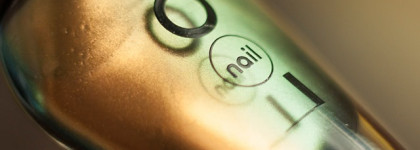 NailLOOK Trends 31353 Chameleon + стемпинг BP-L 003