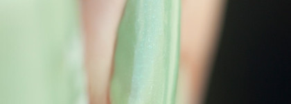 Mavala Nail Color Cream 154 Aquamarine, 180 Candy Floss, 353 Gold Bronze + стемпинг BP-L 001