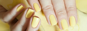 El Corazon Active Bio-gel Color gel polish №423/280 Cream + наклейки для ногтей El Corazon EC b12