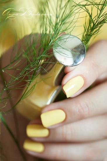 El Corazon Active Bio-gel Color gel polish №423/280 Cream + наклейки для ногтей El Corazon EC b12