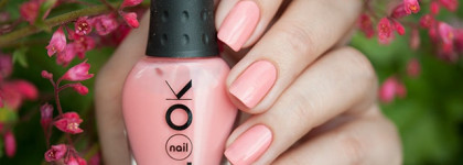 NailLOOK 31396 Wild Daisy + стемпинг с диском BP-56