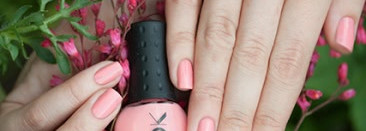 NailLOOK 31396 Wild Daisy + стемпинг с диском BP-56