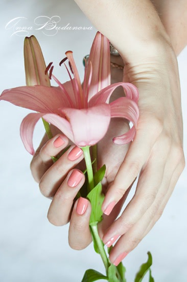 Patrisa Nail Nagelpelege 266, Pink Up nail lacquer Trip To Colors 19 top