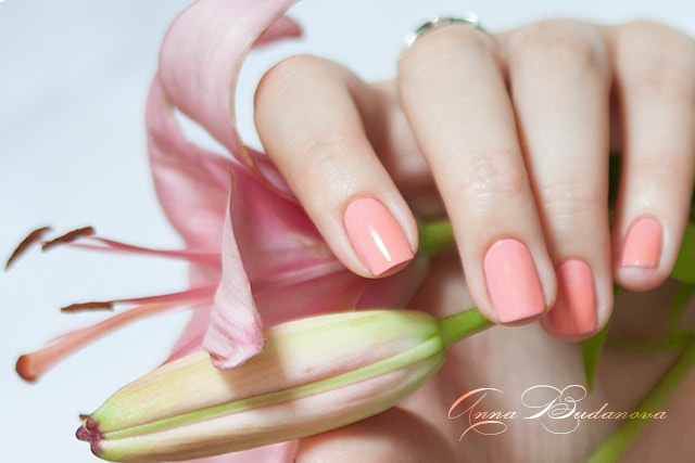Patrisa Nail Nagelpelege 266, Pink Up nail lacquer Trip To Colors 19 top