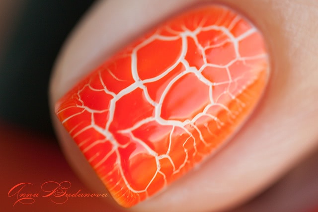 NailLOOK Croco Summer: №30608 Sunday Morning, 30614 Rose of Sharon