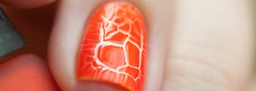 NailLOOK Croco Summer: №30608 Sunday Morning, 30614 Rose of Sharon