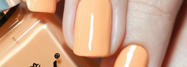 Irisk Professional №2 Britney