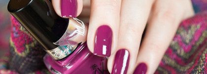 Irisk Professional №1 Violetta и стемпинг диском BP-66