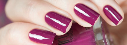 Irisk Professional №1 Violetta и стемпинг диском BP-66