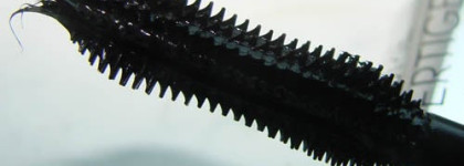 Тест-драйв для Yves Rosher: тени + новая тушь