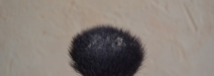 Colorevolution Mineral Powder Foundation Sandstone