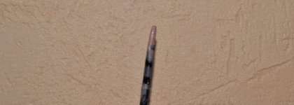 Shiseido Luminizing Lip Gloss BE201