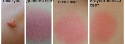 Кое-что из эльфийской братии