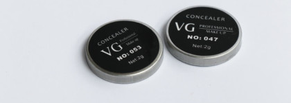 Они скроют все - консилеры VG Professional Makeup в оттенках #047 и #053