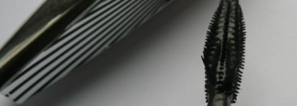 Мечтаю о крыльях бабочки вместе с False Lash Papillon Mascara от L'oreal цвет black