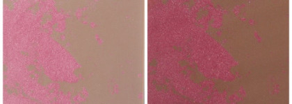 Essence sun club 2 in 1 bronzing powder в оттенке 20 sunset