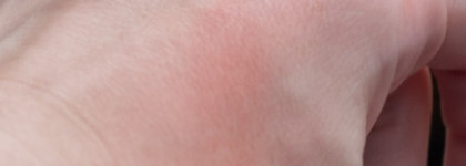 Chanel Le Blush Creme De Chanel Cream Blush (кремовые румяна Шанель) #62 Presage