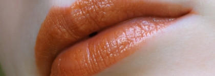 Shiseido Shimmering Rouge BR317