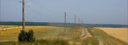 8 ароматов Montale
