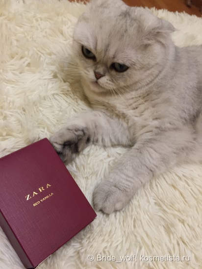 Zara Red Vanilla edp