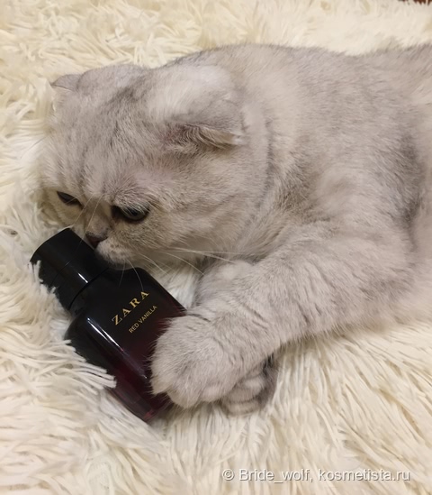 Zara Red Vanilla edp