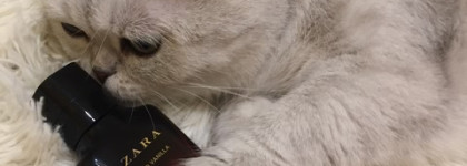 Zara Red Vanilla edp