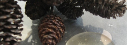 Гель-пилинг и маска для лица от Planeta organica