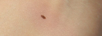 Они есть, но их как будто нет. Clarins Ombre Minerale Mineral Eyeshadow Smoothing & Long-Lasting № 04 Golden rose