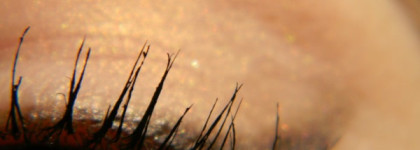 Они есть, но их как будто нет. Clarins Ombre Minerale Mineral Eyeshadow Smoothing & Long-Lasting № 04 Golden rose