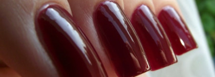 Моя осень с Dance Legend - Эмаль Mix в оттенке № 370