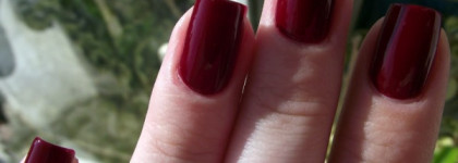 Моя осень с Dance Legend - Эмаль Mix в оттенке № 370