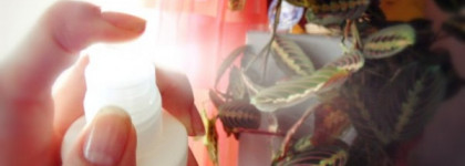 Avon foot works Охлаждающий лосьон-спрей для ног "Цитрус и мята"