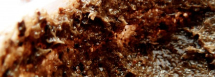 Organic Shop Body Scrub Organic Coffee & Sugar (Скраб для тела "Бразильский кофе")