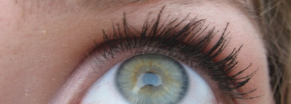 Бабочка от L'oreal или тушь False Lash Effect Papillon Black